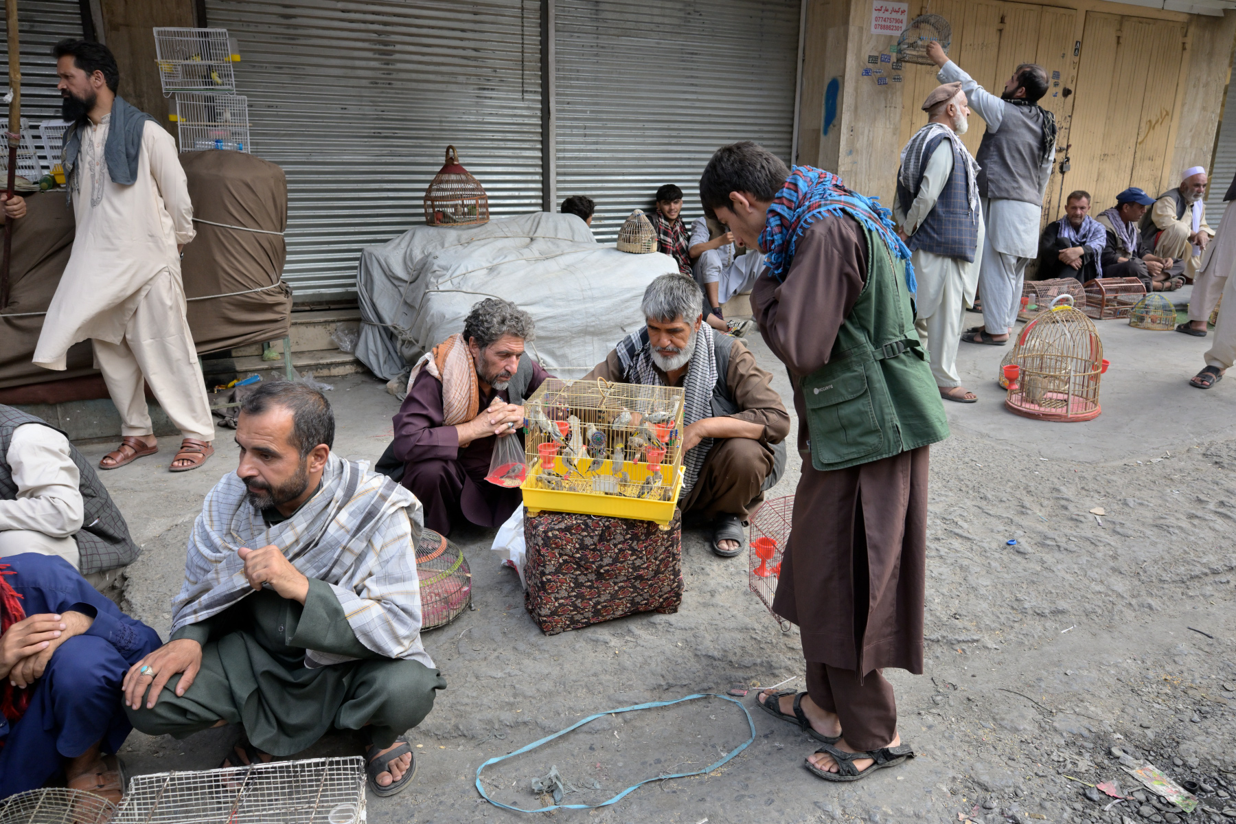 Men crouch around a small yellow cage of birds on a cloth-covered crate, shuttered shopfronts and hanging birdcages behind them, a street market crowd beyond.
